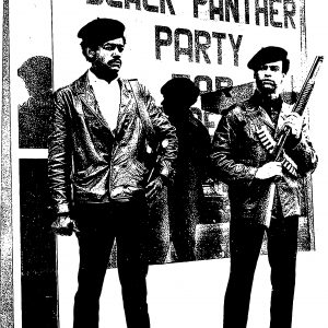 Black Panthers