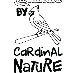 Cardinal Nature