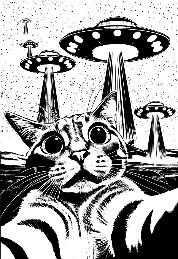 Cat Conspiracy